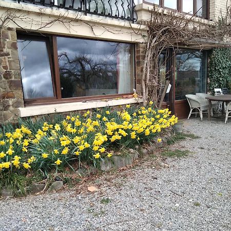 Dinant La Bergeronnette Avec La Chaleur Du Feu De Bois Et Le Jardin Villa Ngoại thất bức ảnh