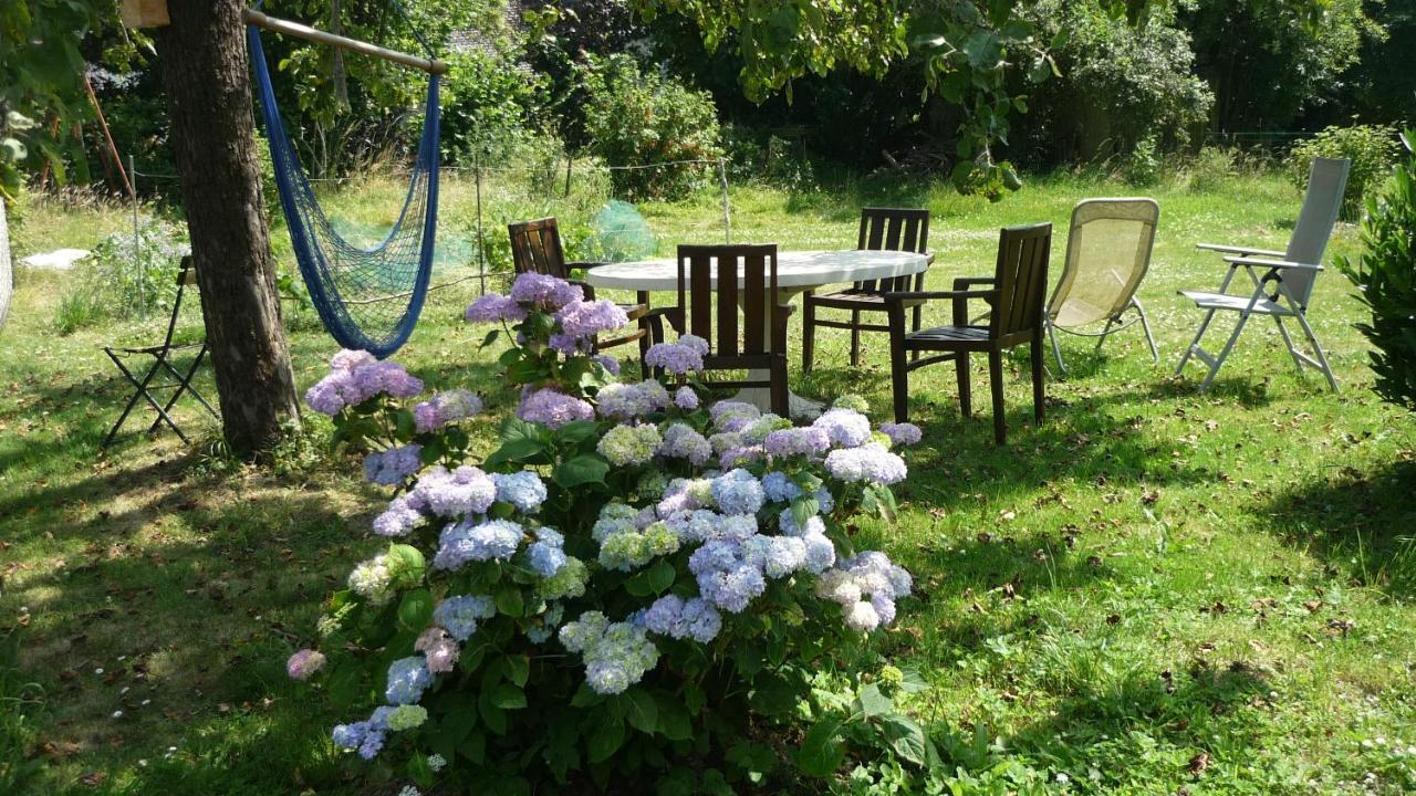Dinant La Bergeronnette Avec La Chaleur Du Feu De Bois Et Le Jardin Villa Ngoại thất bức ảnh